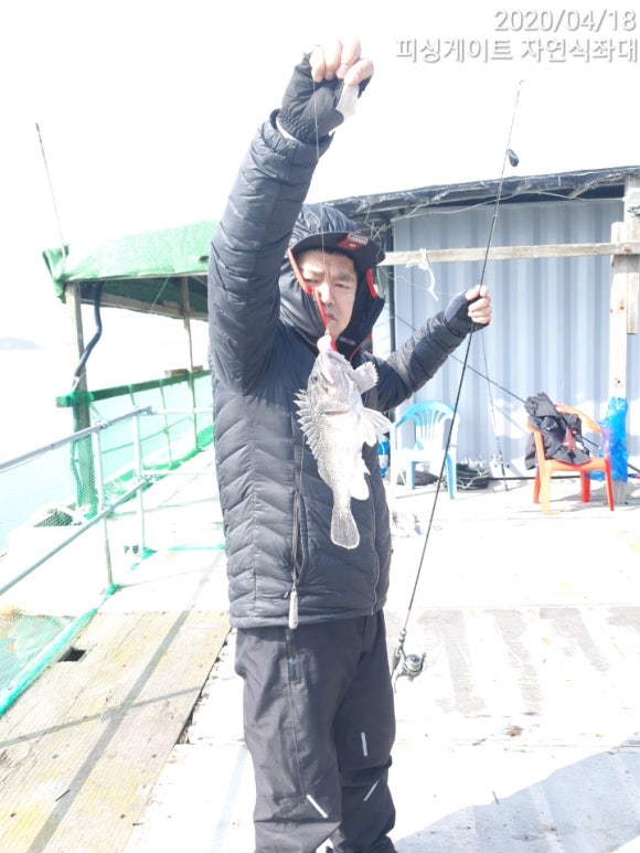 피싱게이트 이미지