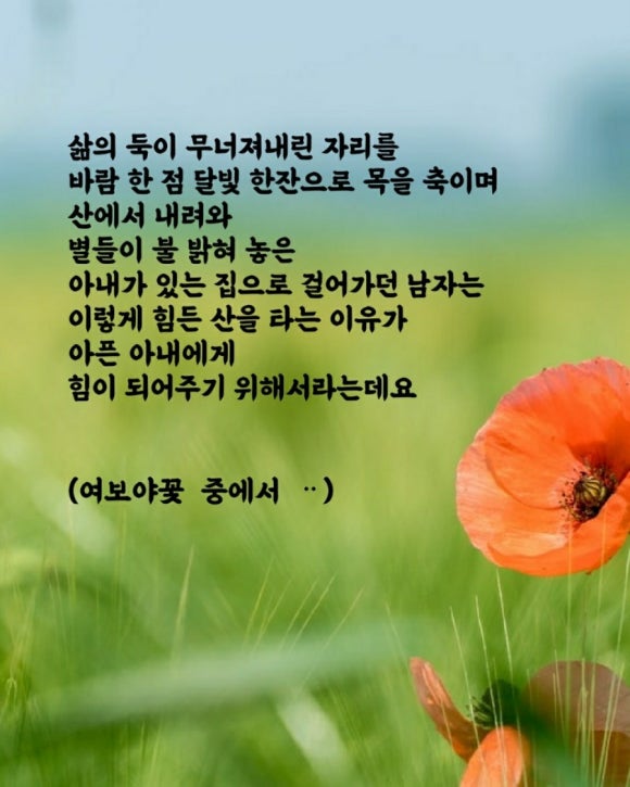 달빛한잔 이미지