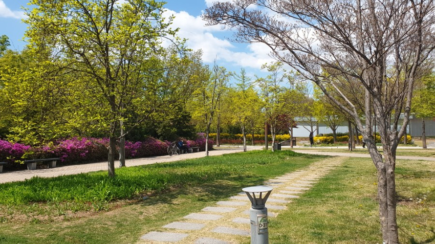 숲길 이미지
