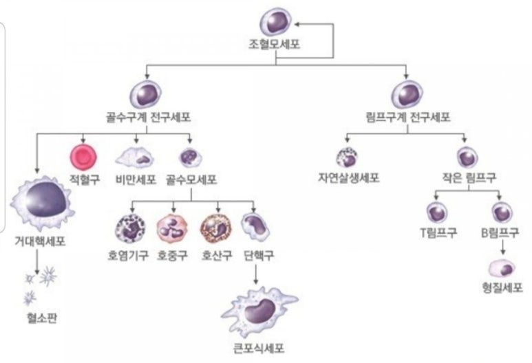 약손월드 이미지