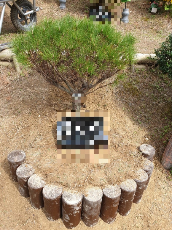 그린피아수목장 이미지