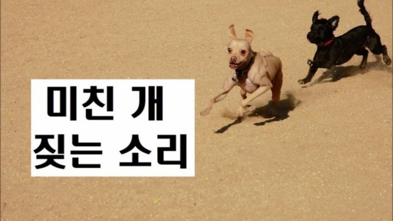 솔트밀 이미지