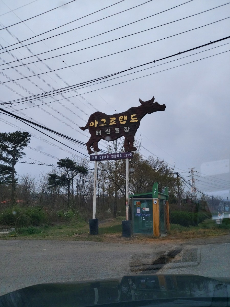 법인태신목장 이미지