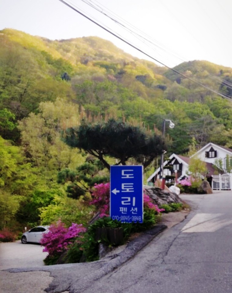 가평펜션가든 이미지