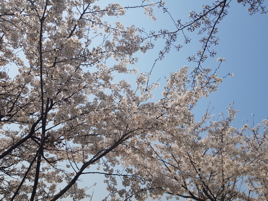 예봉중학교 이미지