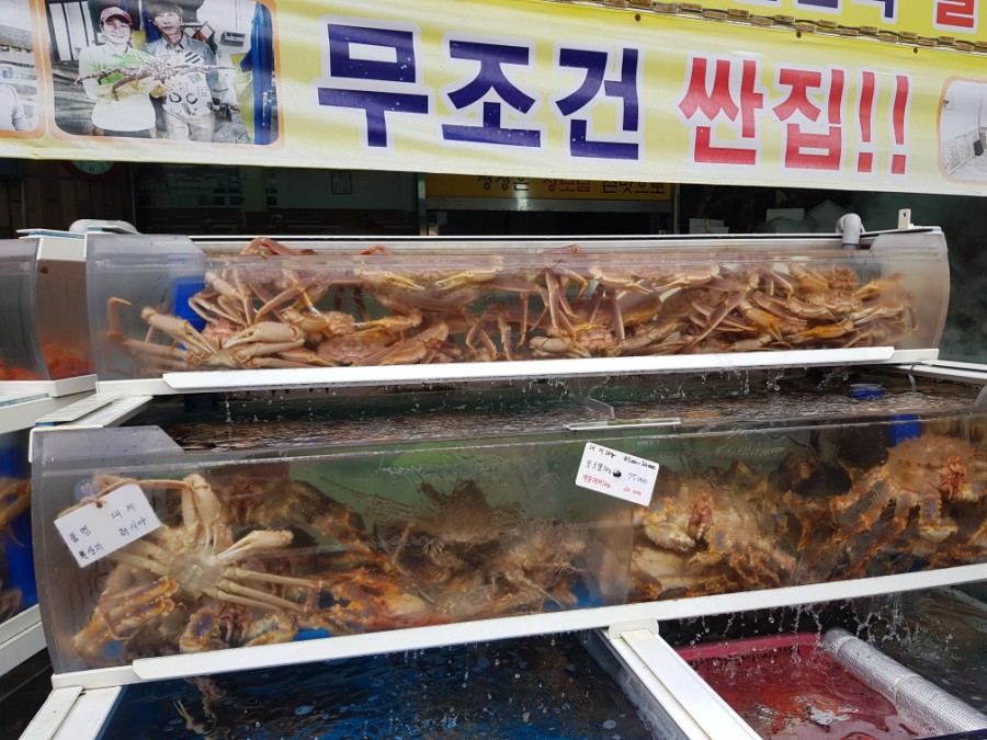 기장시장청해대게 이미지