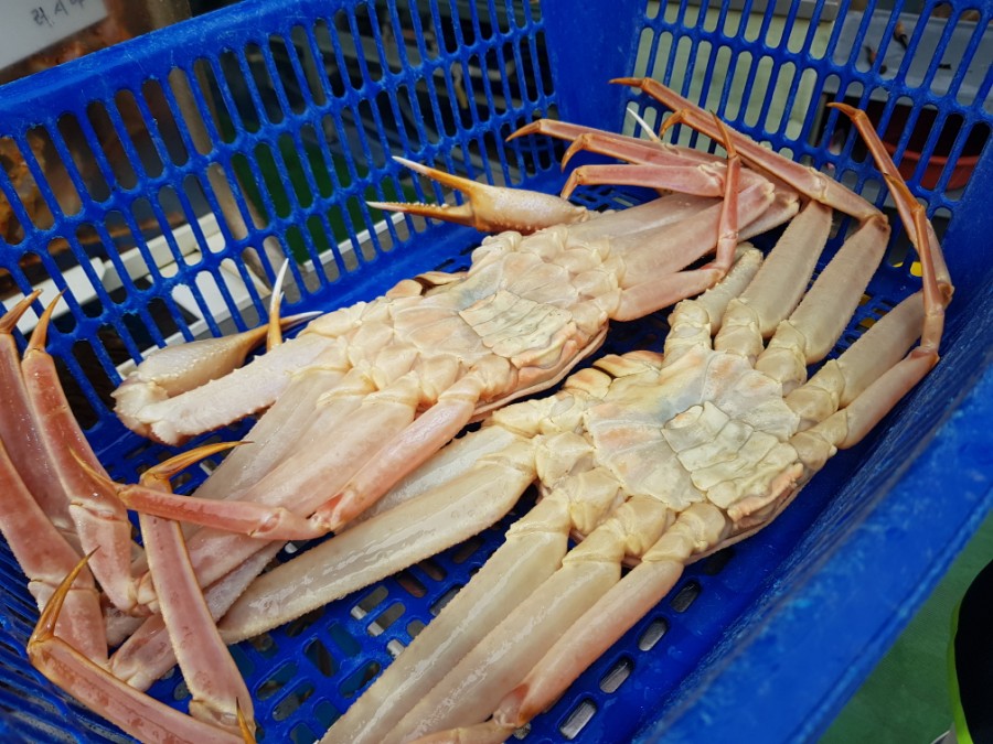 기장시장청해대게 이미지