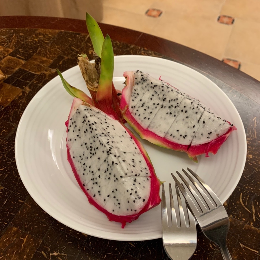 슬리핑포레스트 이미지