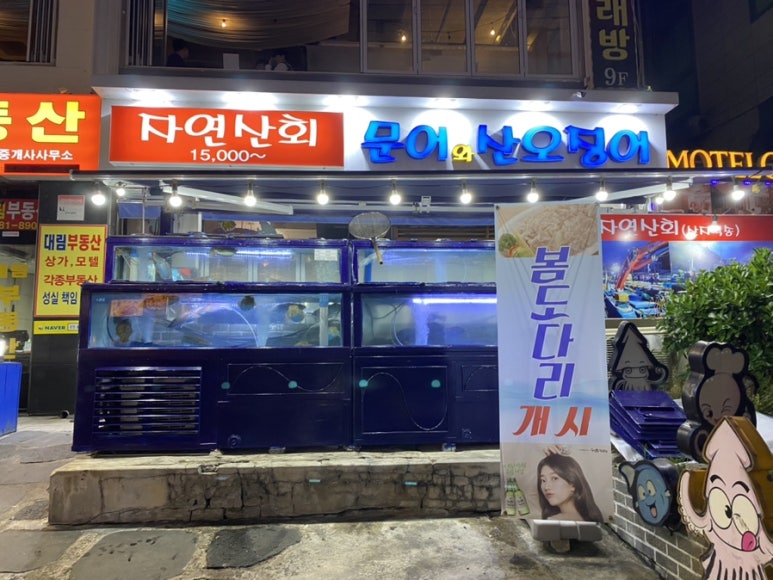 문어와산오징어 이미지