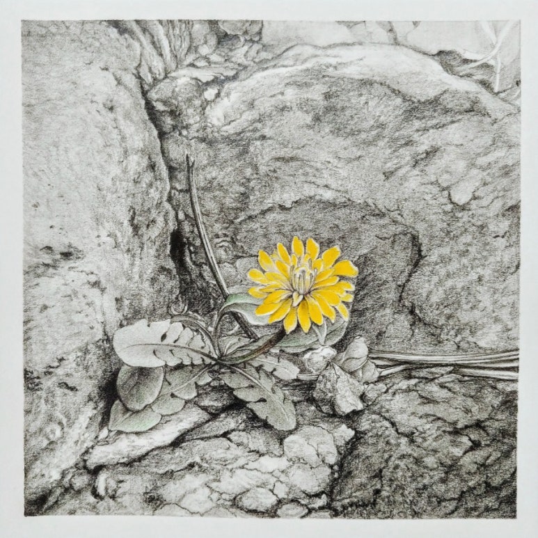 봄하루그림 이미지