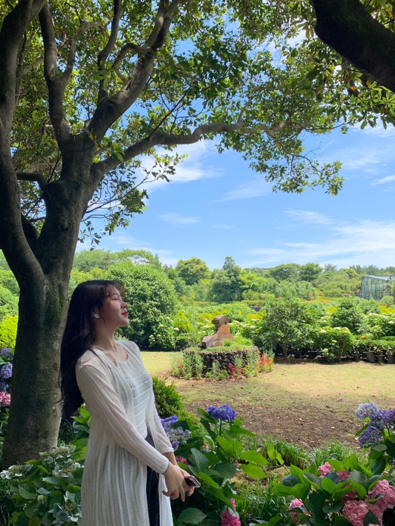 예쁠아 이미지