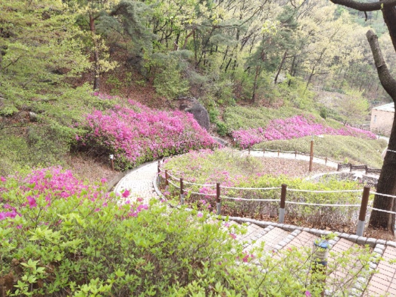 능안약수터 이미지