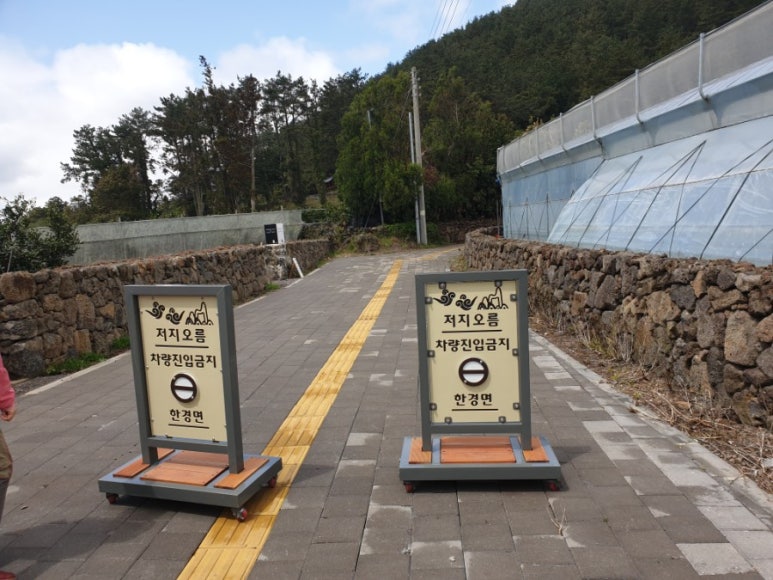 올레향 이미지