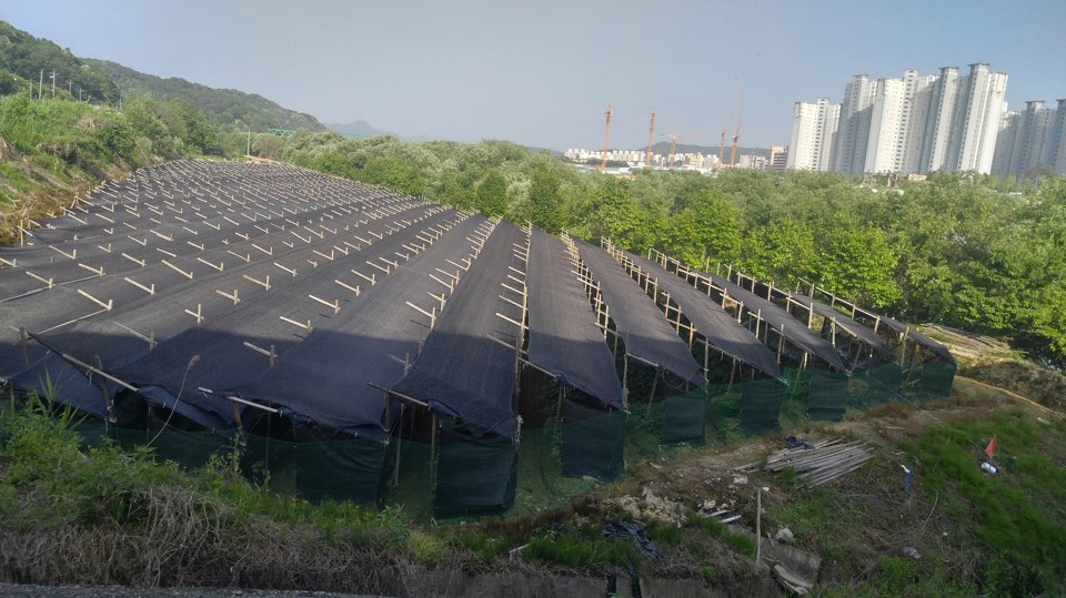 한결약초홍삼 이미지