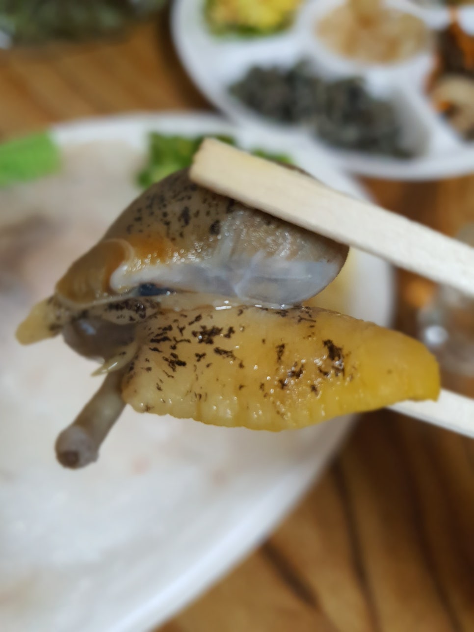 싱싱회센타 이미지