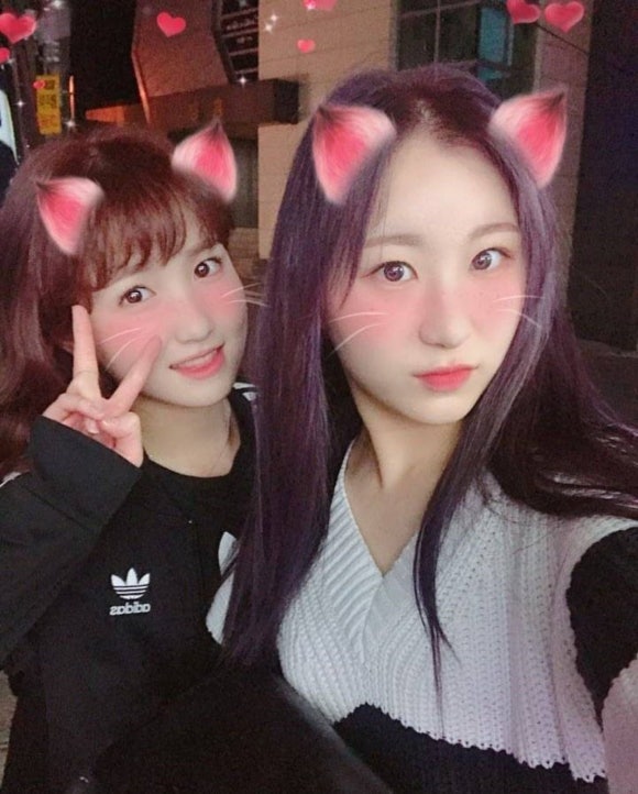 (주)혜원 이미지