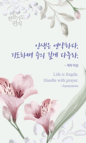 샬롬 이미지