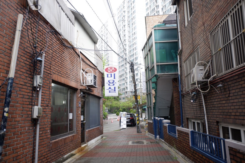 서울쉬퐁 이미지