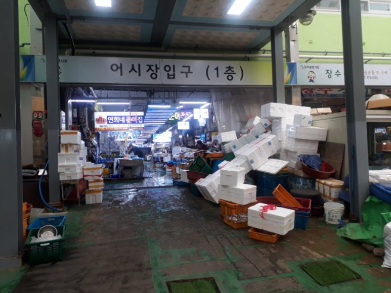 삼척SOS통통센터 이미지