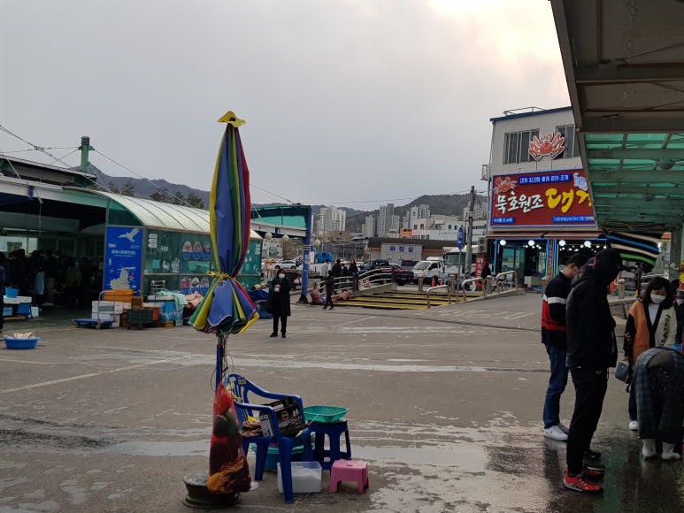 동해활어회센타 이미지