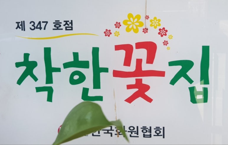 희플라워 이미지