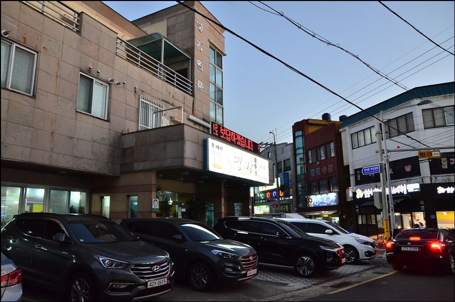 올레도야지 이미지