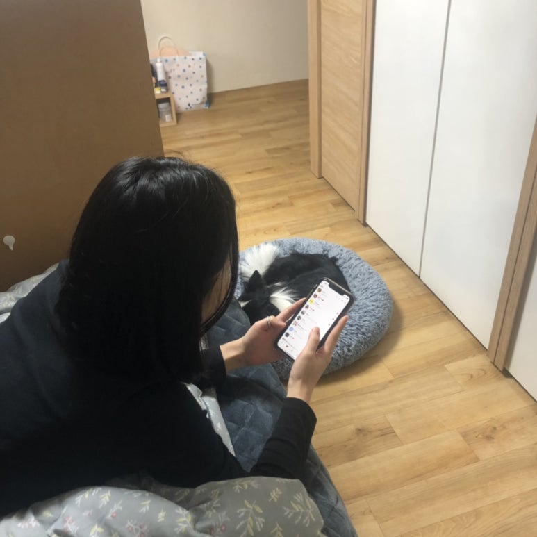 두야모야 이미지