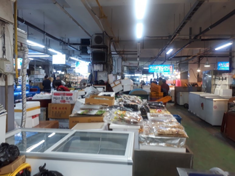 삼척SOS통통센터 이미지