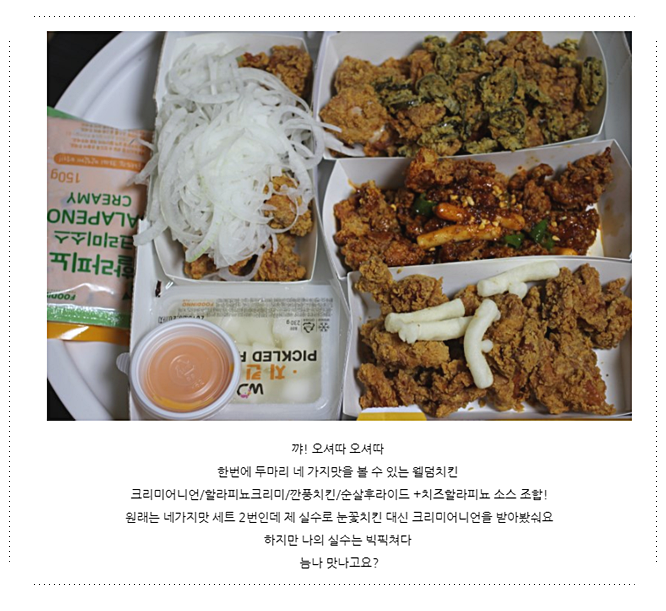 웰덤치킨&버거 이미지