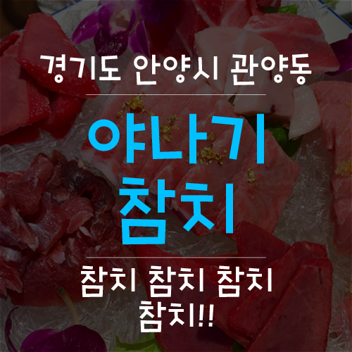 야나기참치 이미지