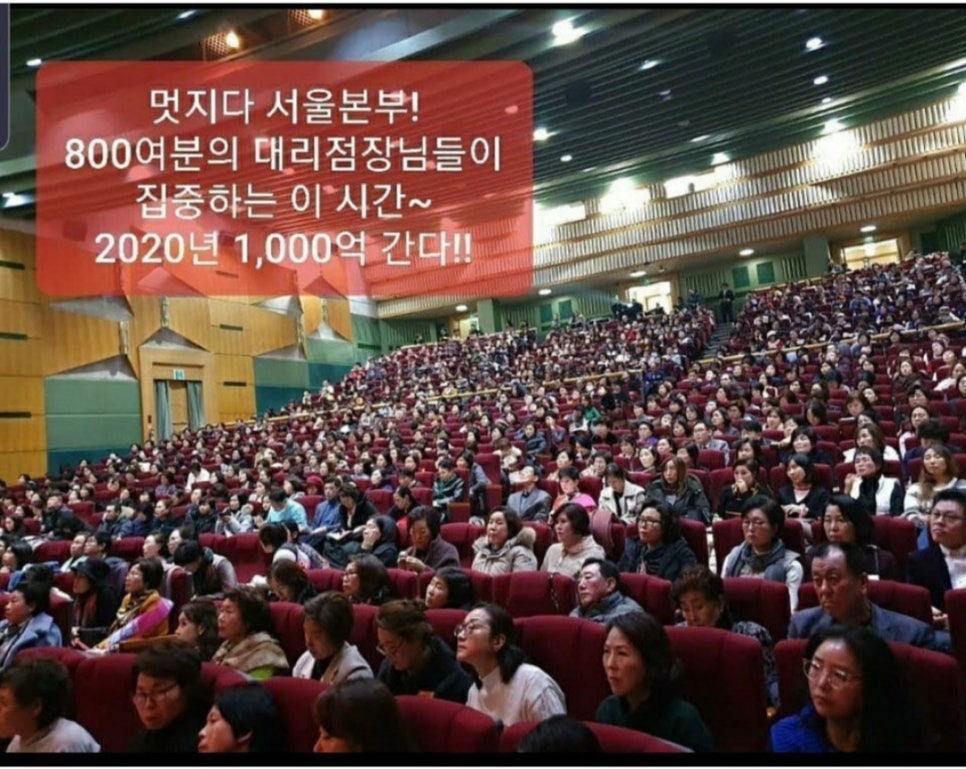 보라인셀덤 이미지