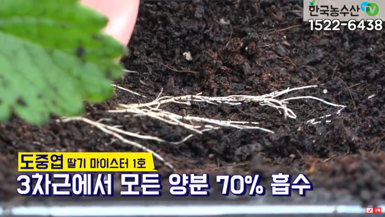 풍성농약사 이미지