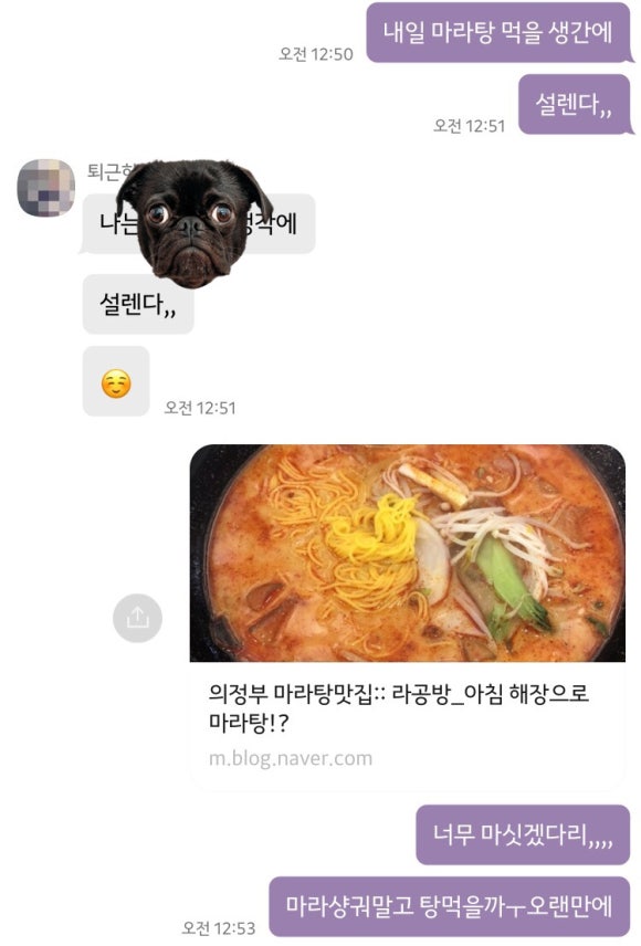 오졔졔 이미지