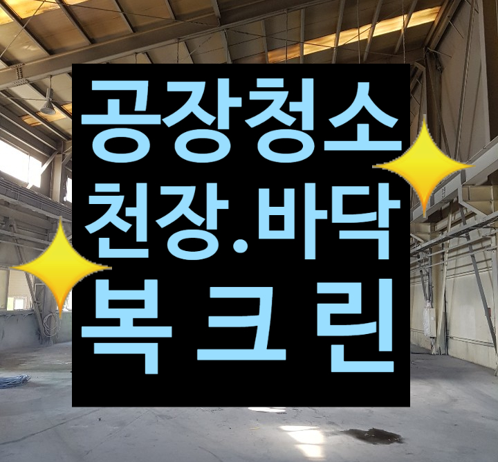 복크린 이미지