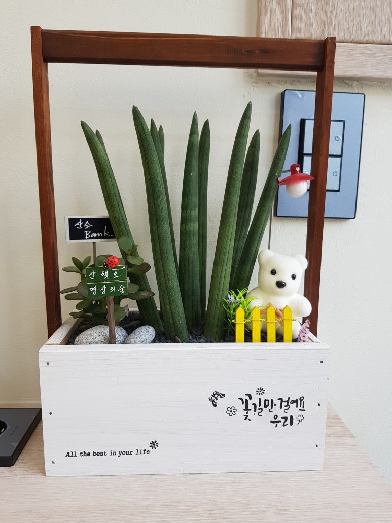 예온헤어 이미지