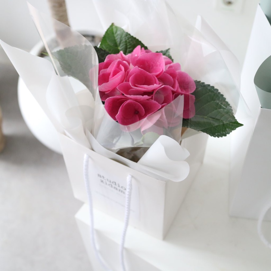 스튜디오지담 이미지
