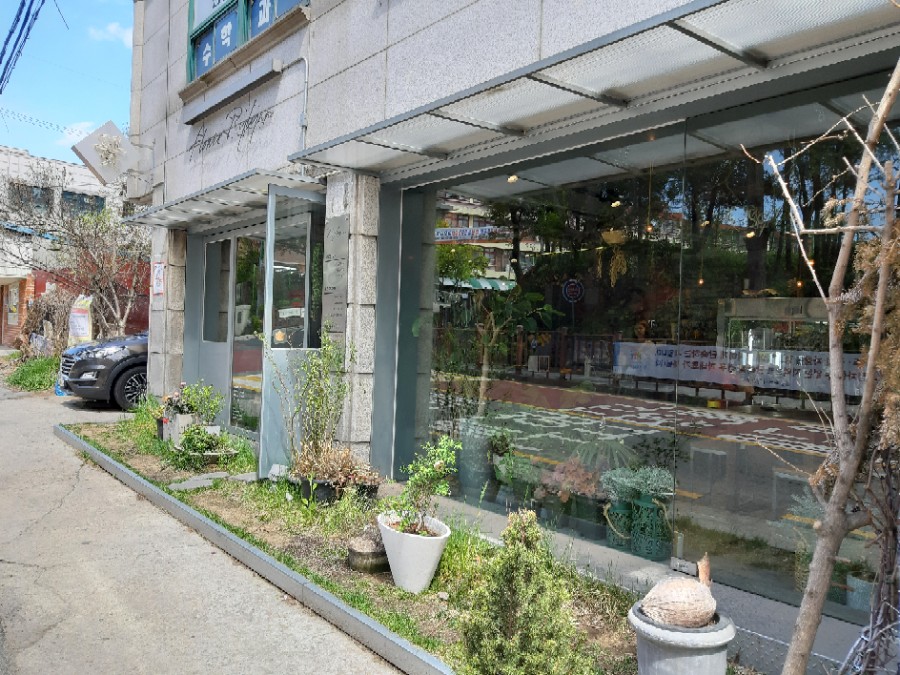 꽃라일린 이미지