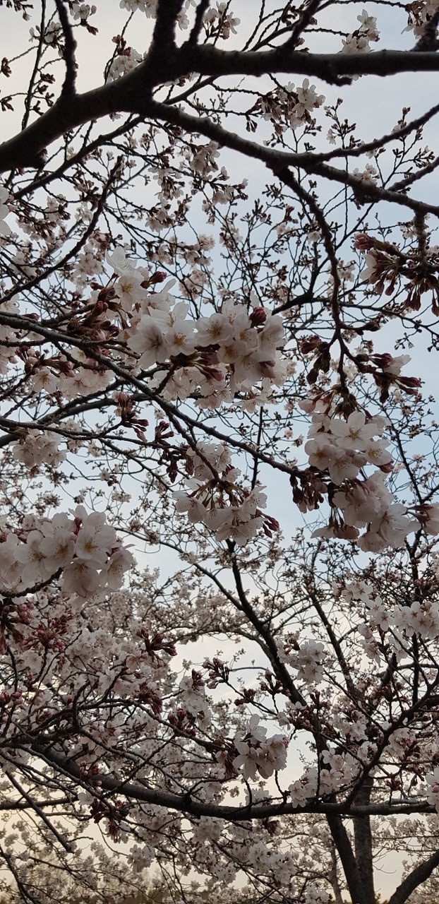 온프린터사무기 이미지