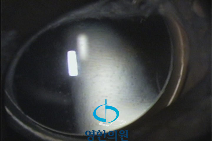 동신한의원 이미지