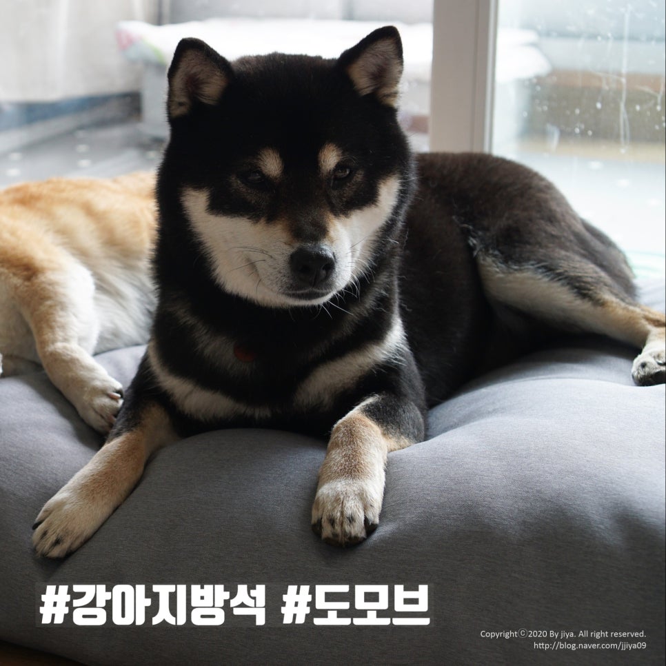 투유마켓 이미지