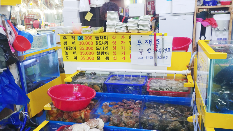 미숙이회수산 이미지