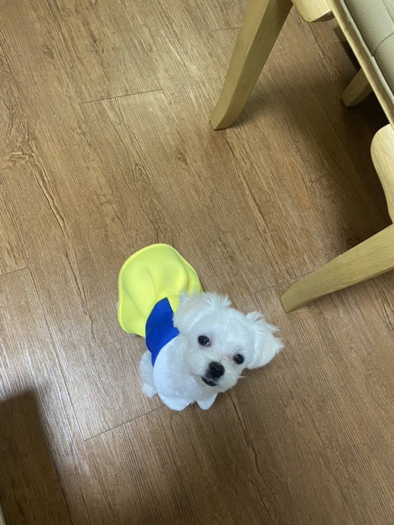 워시엔조이경산 이미지