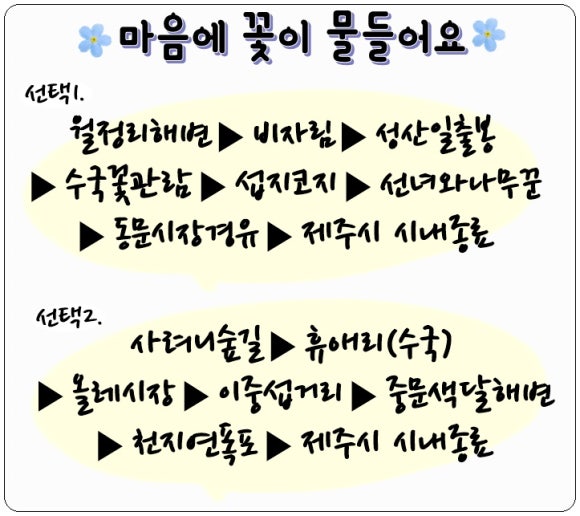 삼다현투어 이미지