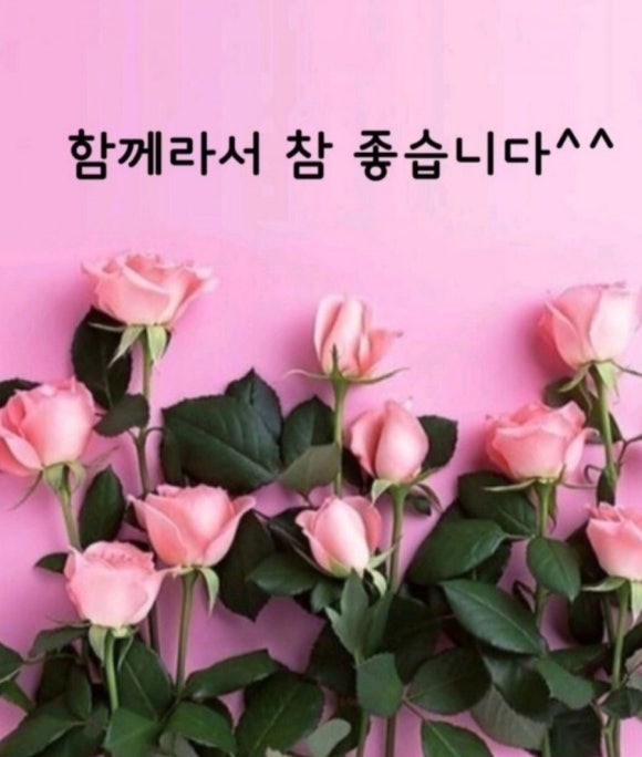 세계푸드 이미지