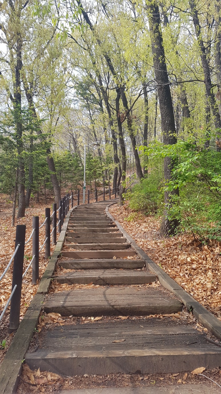 금하치과 이미지
