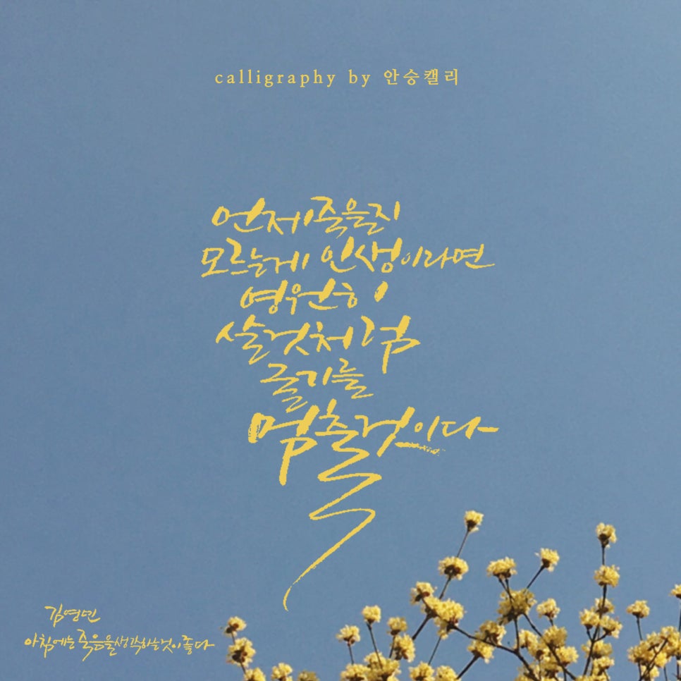 김영민캘리그라피 이미지