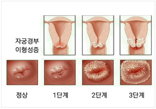 강영미산부인과 이미지