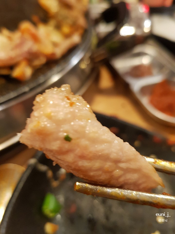 돼지랑낙지랑 이미지
