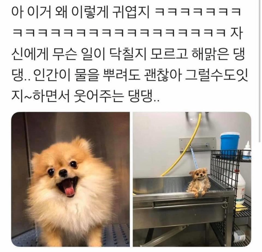 싸다구 이미지