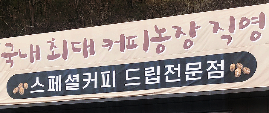 두베이 커피 플랫폼 이미지